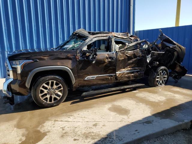 5TFMA5AB0NX004561 - 2022 TOYOTA TUNDRA CREWMAX PLATINUM ყავისფერი ფოტო 1