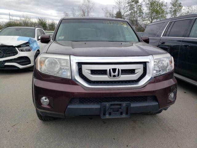 5FNYF48929B023161 - 2009 HONDA PILOT TOURING BURGUNDY photo 5