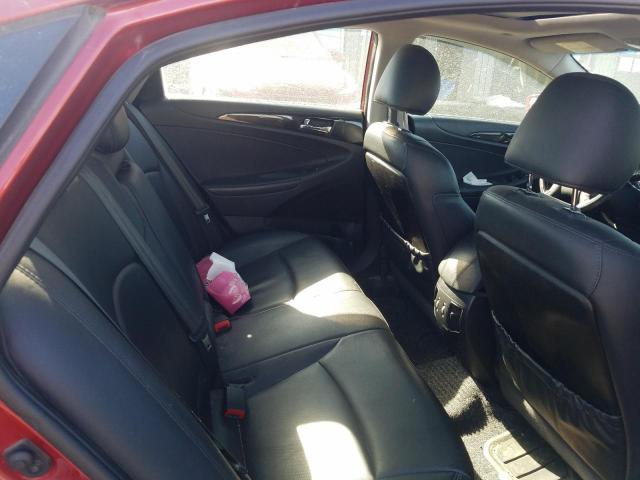 5NPEC4AB4DH529156 - 2013 HYUNDAI SONATA SE 红色 照片 10