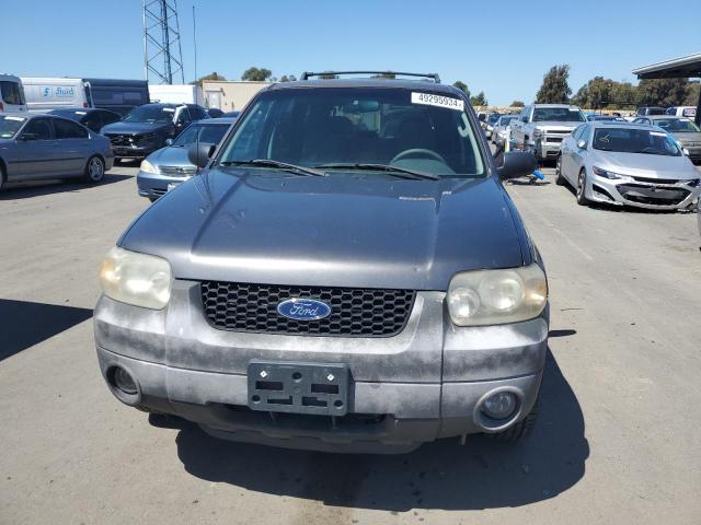 1FMYU93135KD11526 - 2005 FORD ESCAPE XLT GRAY photo 5