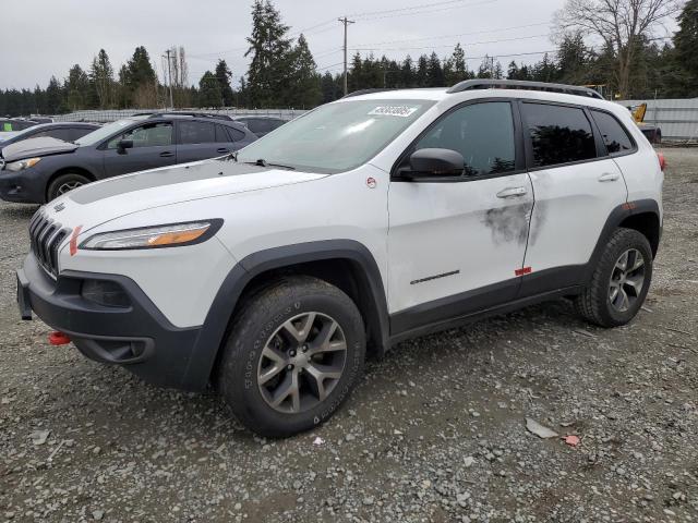 1C4PJMBS3HD237118 - 2017 JEEP CHEROKEE TRAILHAWK WHITE photo 1