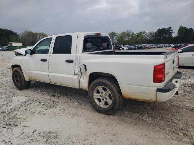 1D7RE3GK0BS637162 - 2011 DODGE DAKOTA SLT WHITE photo 2