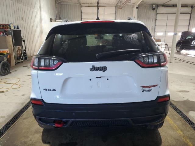 1C4PJMBX0KD317933 - 2019 JEEP CHEROKEE TRAILHAWK WHITE photo 6