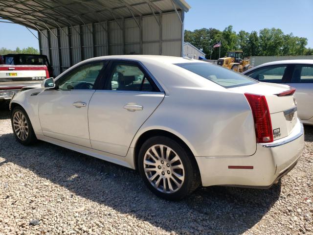 1G6DJ5EG8A0121493 - 2010 CADILLAC CTS PERFORMANCE COLLECTION Кремовый фото 2