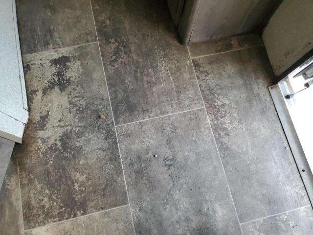 4YDT25227JD415407 - 2018 KEYSTONE PASSPORT GRAY photo 9