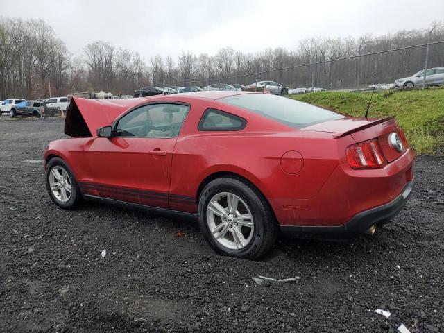 1ZVBP8AM3C5223478 - 2012 FORD MUSTANG RED photo 2