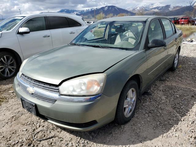 1G1ZT52835F152303 - 2005 CHEVROLET MALIBU LS GREEN photo 1