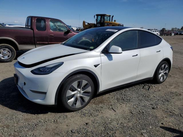 2021 TESLA MODEL Y, null