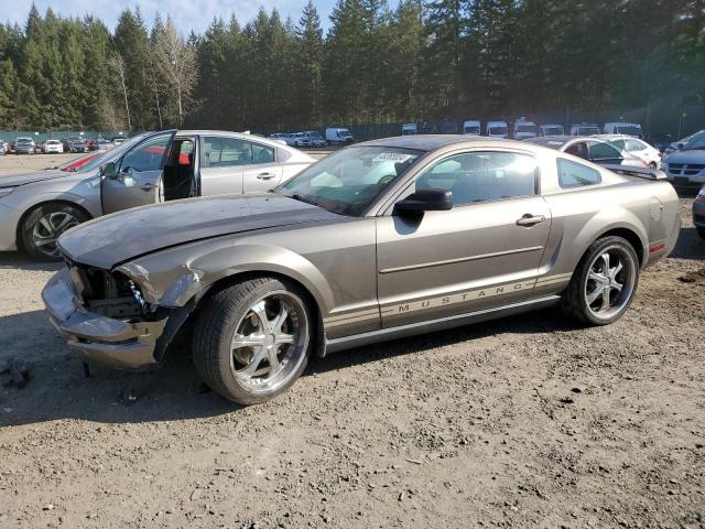 1ZVFT80N355225712 - 2005 FORD MUSTANG GRAY photo 1