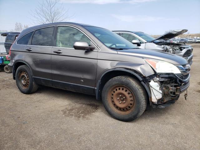 5J6RE4H76AL809546 - 2010 HONDA CR-V EXL GRAY photo 4