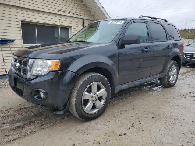 2011 FORD ESCAPE XLT, 