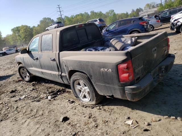 1D7RW3GP6BS559477 - 2011 DODGE DAKOTA SLT GRAY photo 2