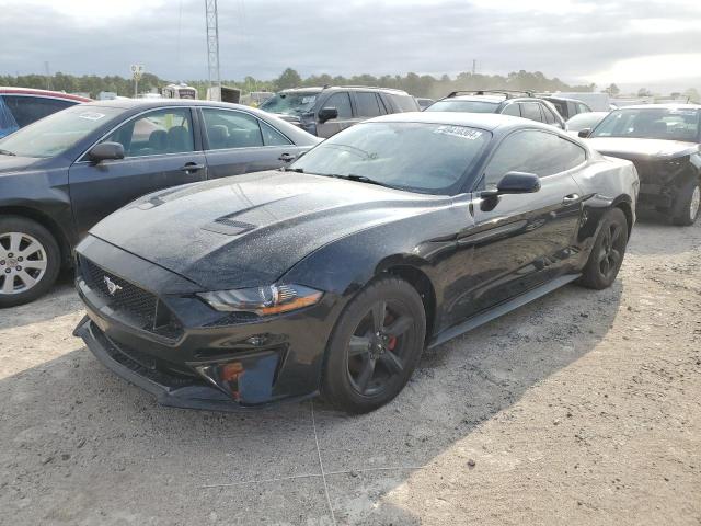 1FA6P8TH2K5175156 - 2019 FORD MUSTANG BLACK photo 1