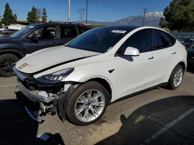 2020 TESLA MODEL Y, 