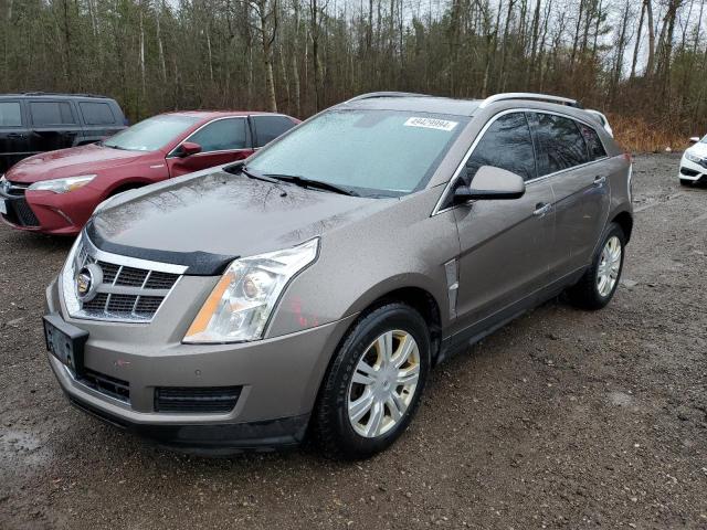 3GYFNDEY9BS625116 - 2011 CADILLAC SRX LUXURY COLLECTION BROWN photo 1