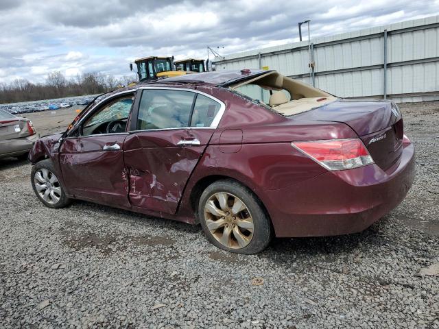 1HGCP36829A034179 - 2009 HONDA ACCORD EXL MAROON photo 2