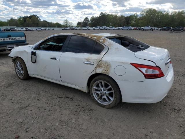 1N4AA5AP3AC816622 - 2010 NISSAN MAXIMA S WHITE photo 2