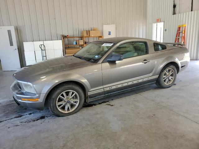 1ZVFT80N155247059 - 2005 FORD MUSTANG TAN photo 1