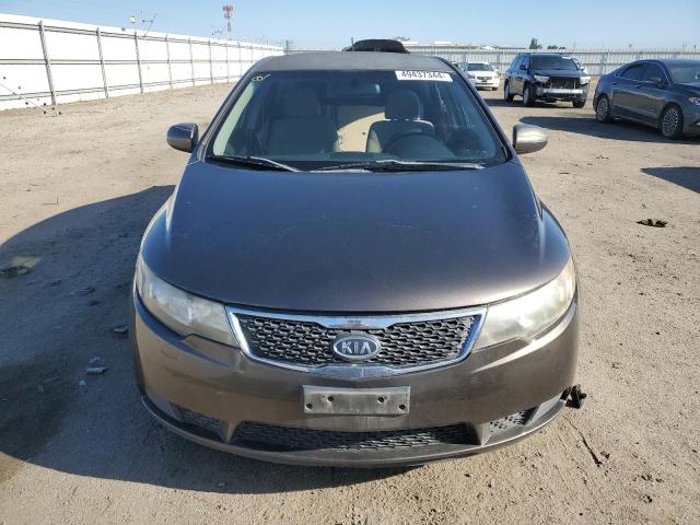 KNAFU4A23C5553493 - 2012 KIA FORTE EX GRAY photo 5