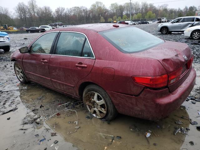 1HGCM66565A046040 - 2005 HONDA ACCORD EX BURGUNDY photo 2