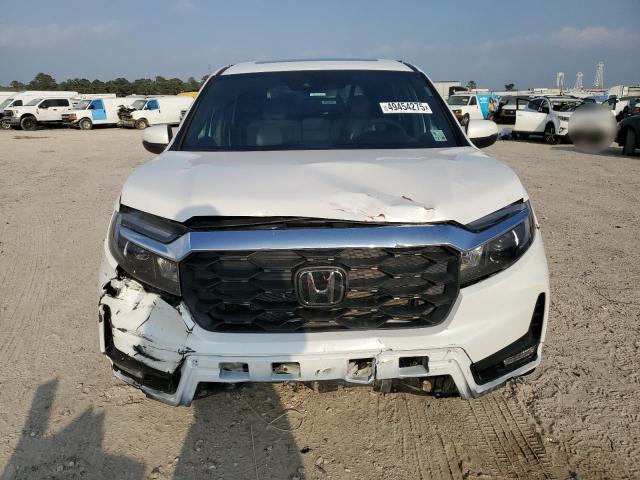 5FNYF8H50SB006479 - 2025 HONDA PASSPORT EXL თეთრი ფოტო 5