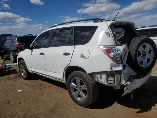 2T3BF4DV3AW029767 - 2010 TOYOTA RAV4 WHITE photo 2