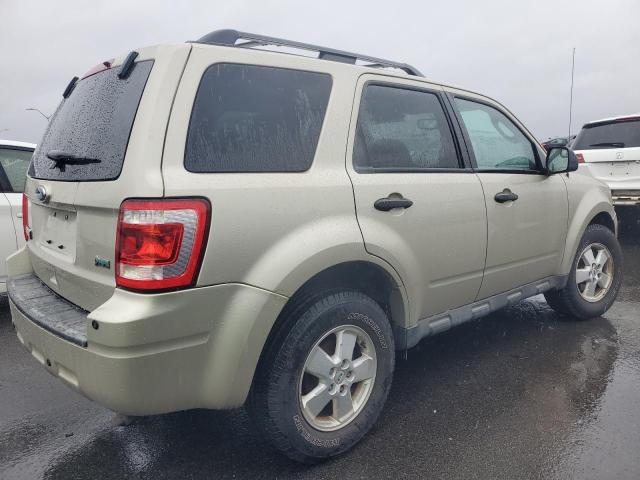 1FMCU9DG1AKC46540 - 2010 FORD ESCAPE XLT TAN photo 3