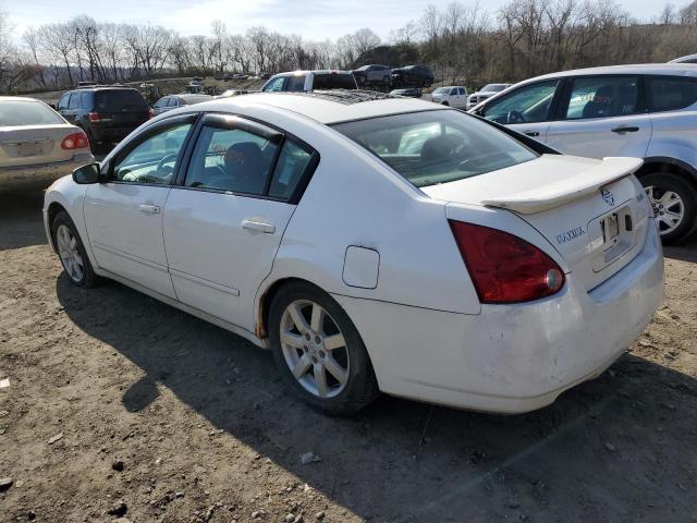 1N4BA41E44C839392 - 2004 NISSAN MAXIMA SE WHITE photo 2