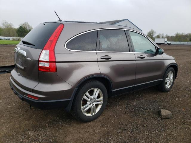 5J6RE4H78AL100407 - 2010 HONDA CR-V EXL BROWN photo 3