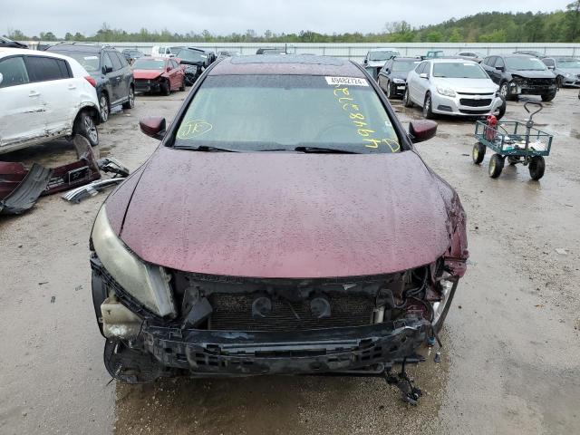 5J6TF1H53CL006552 - 2012 HONDA CROSSTOUR EXL ბურგუნდია ფოტო 5