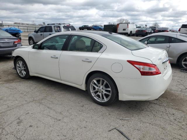 1N4AA51E19C833901 - 2009 NISSAN MAXIMA S WHITE photo 2