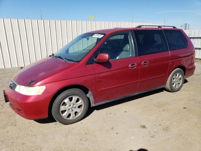 5FNRL180X3B159879 - 2003 HONDA ODYSSEY EXL RED photo 1