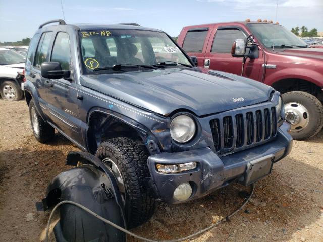 1J4GL58K22W216631 - 2002 JEEP LIBERTY LIMITED BLUE photo 1