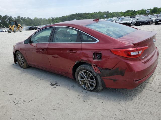 5NPE24AA5GH420459 - 2016 HYUNDAI SONATA ECO RED photo 2