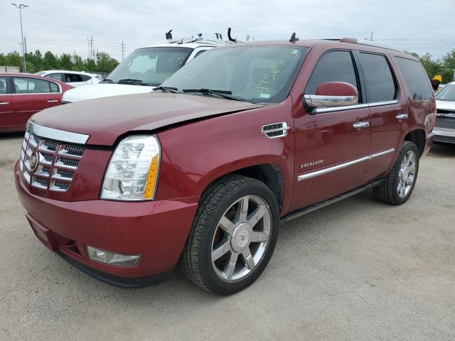 1GYS4CEF9BR133859 - 2011 CADILLAC ESCALADE PREMIUM BURGUNDY photo 1