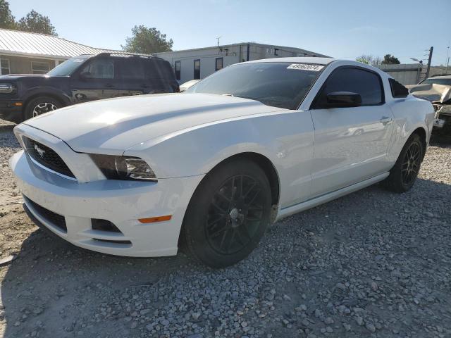 1ZVBP8AM4E5320188 - 2014 FORD MUSTANG WHITE photo 1