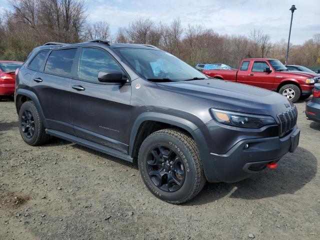 1C4PJMBX0LD548235 - 2020 JEEP CHEROKEE TRAILHAWK GRAY photo 4