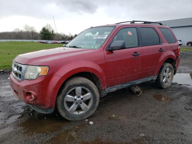 2010 FORD ESCAPE XLT, 