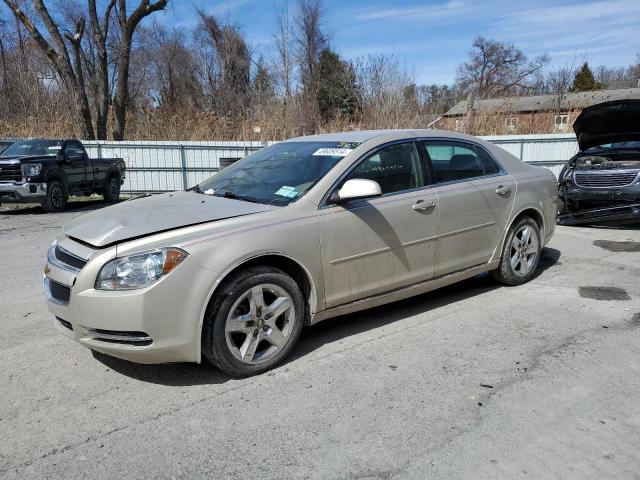 1G1ZH57B894179696 - 2009 CHEVROLET MALIBU 1LT Qəhvəyi foto 1
