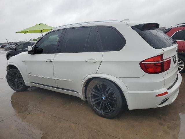 5UXZV8C50D0C16243 - 2013 BMW X5 XDRIVE50I WHITE photo 2