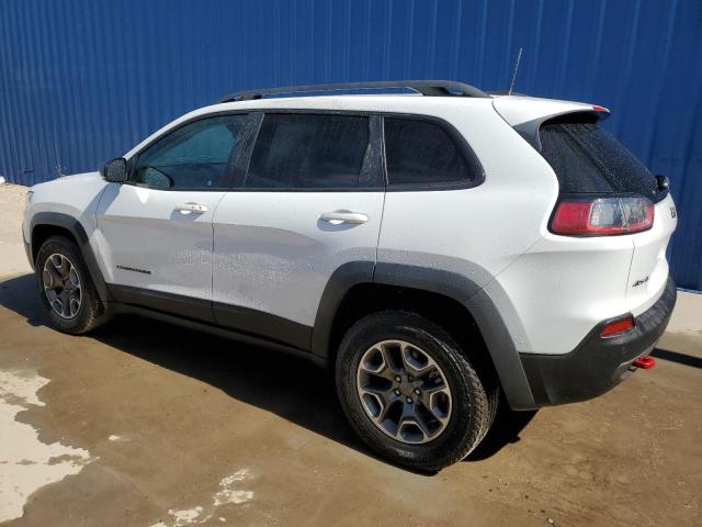 1C4PJMBX1LD528818 - 2020 JEEP CHEROKEE TRAILHAWK WHITE photo 2