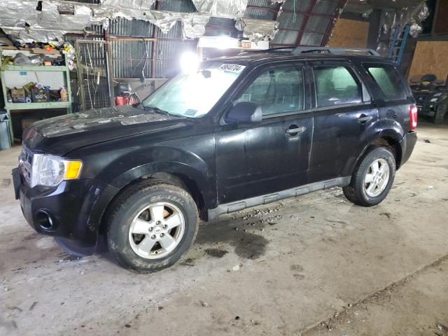 2009 FORD ESCAPE XLT, 