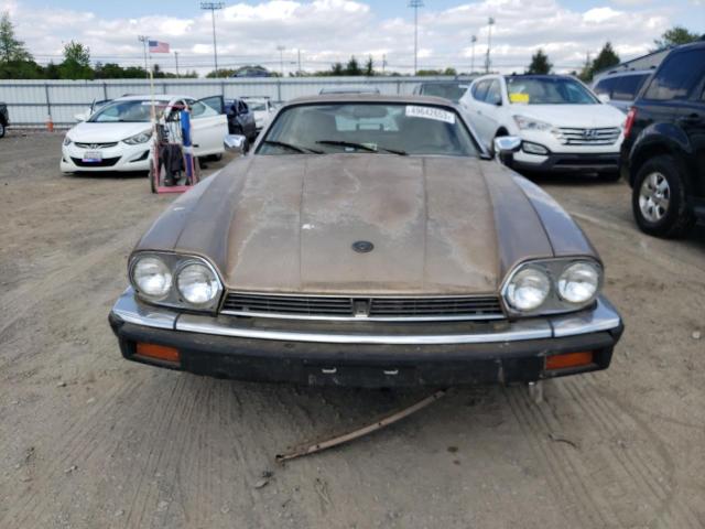 SAJNA5845KC155895 - 1989 JAGUAR XJS TAN photo 5