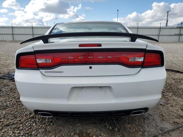 2C3CDXAG1CH304917 - 2012 DODGE CHARGER POLICE WHITE photo 6