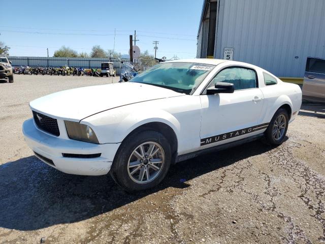 1ZVFT80N655116466 - 2005 FORD MUSTANG WHITE photo 1