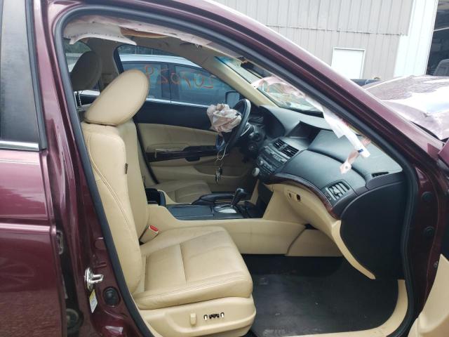 5J6TF1H59CL005776 - 2012 HONDA CROSSTOUR EXL MAROON photo 5