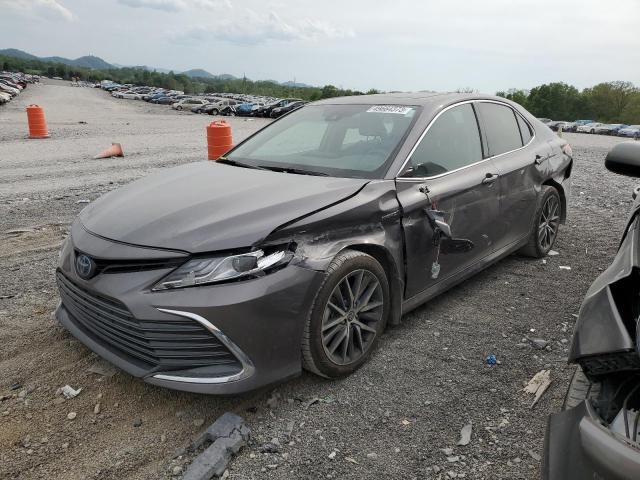 4T1F31AKXMU561369 - 2021 TOYOTA CAMRY XLE GRAY photo 1