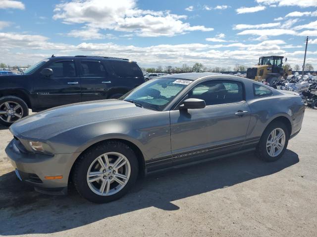 1ZVBP8AN5A5161992 - 2010 FORD MUSTANG GRAY photo 1