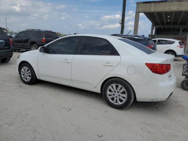 KNAFU4A21C5635495 - 2012 KIA FORTE EX WHITE photo 2