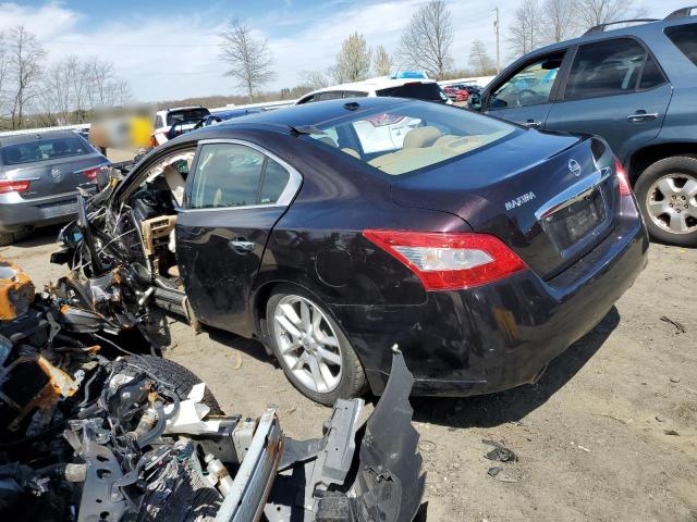 1N4AA5AP9BC854082 - 2011 NISSAN MAXIMA S BROWN photo 2